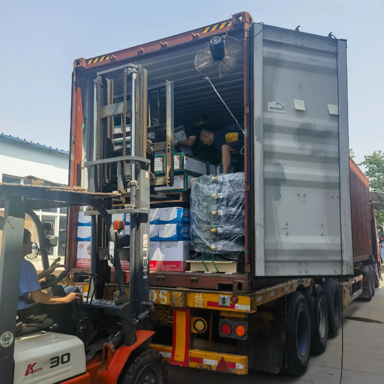 Sehemu za lori nzito za Sky - gari rahisi, inayoaminika kila mahali!